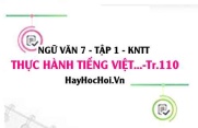 Soạn bài Thực hành tiếng Việt trang 110 Ngữ văn lớp 7 Kết nối tri thức tập 1